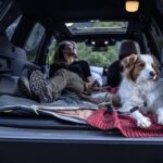 BBC Countryfile Dog of the Year has launched – in association with Subaru