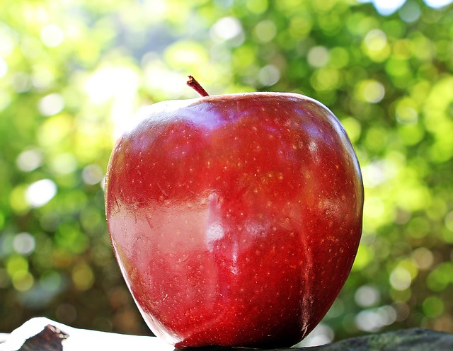 apple photo